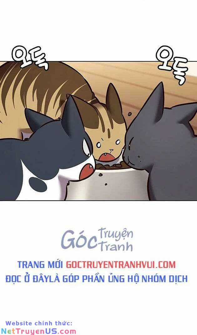 Hoá Thân Thành Mèo - Eleceed Chapter 269 trang 40