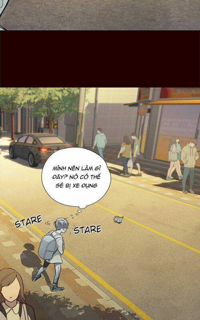 Hoá Thân Thành Mèo - Eleceed Chapter 27 trang 7