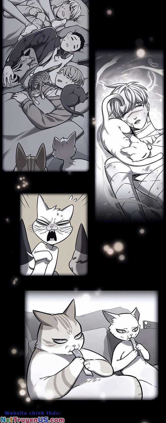 Hoá Thân Thành Mèo - Eleceed Chapter 270 trang 65