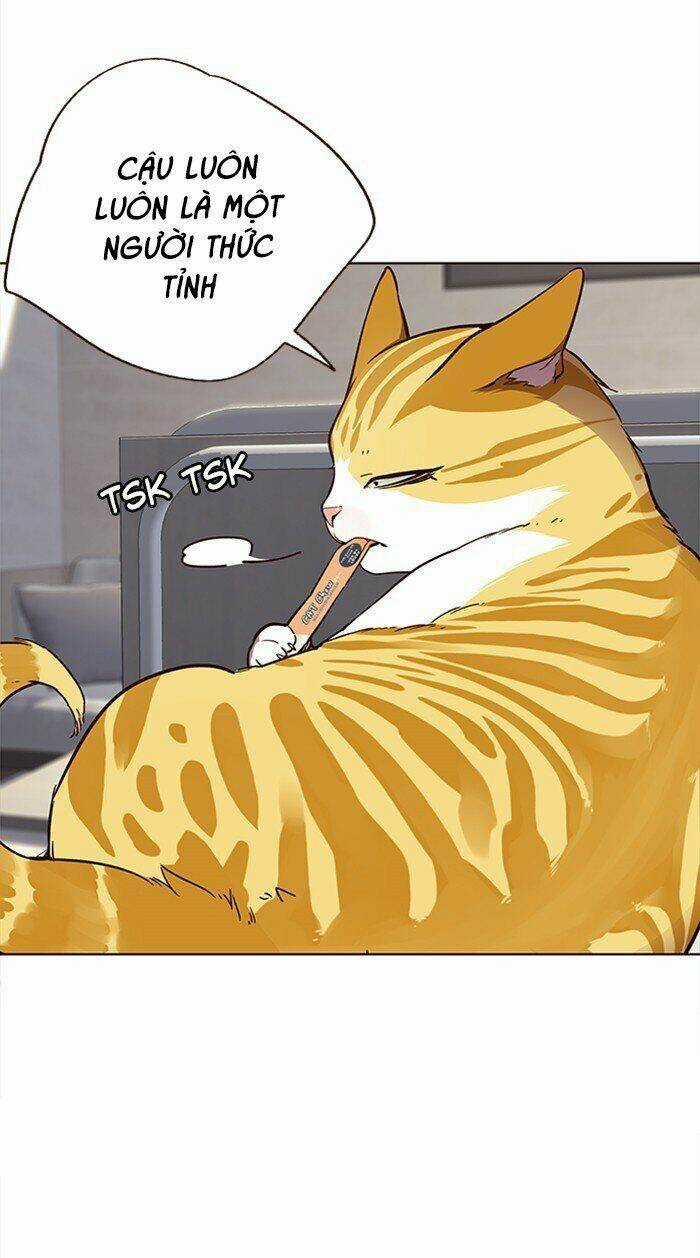 Hoá Thân Thành Mèo - Eleceed Chapter 28 trang 17