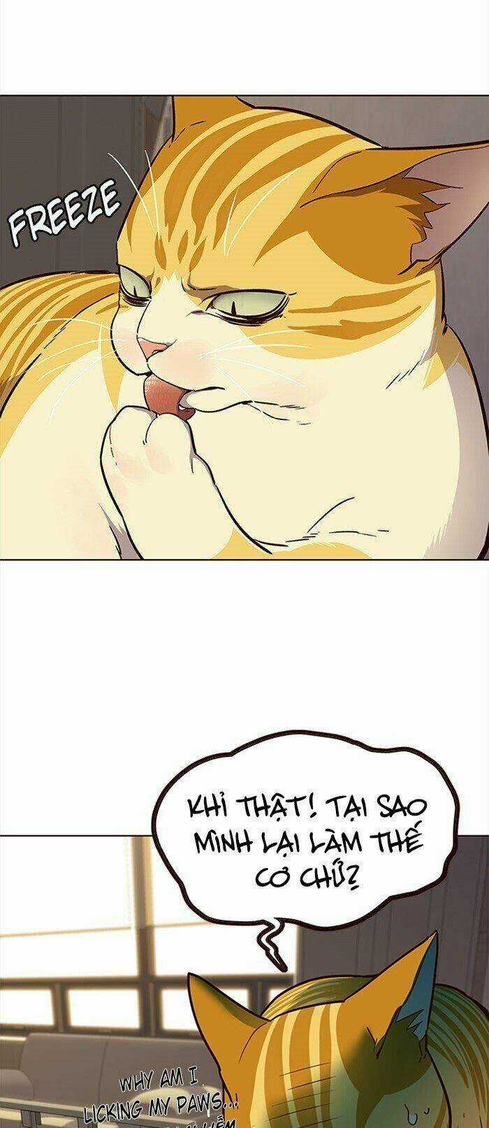 Hoá Thân Thành Mèo - Eleceed Chapter 29 trang 19