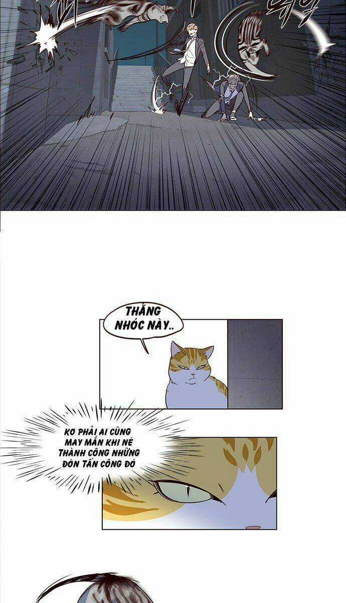 Hoá Thân Thành Mèo - Eleceed Chapter 3 trang 37