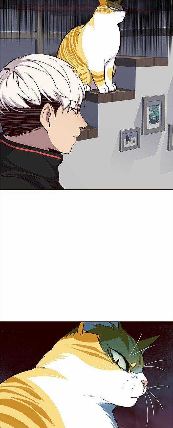 Hoá Thân Thành Mèo - Eleceed Chapter 35 trang 12