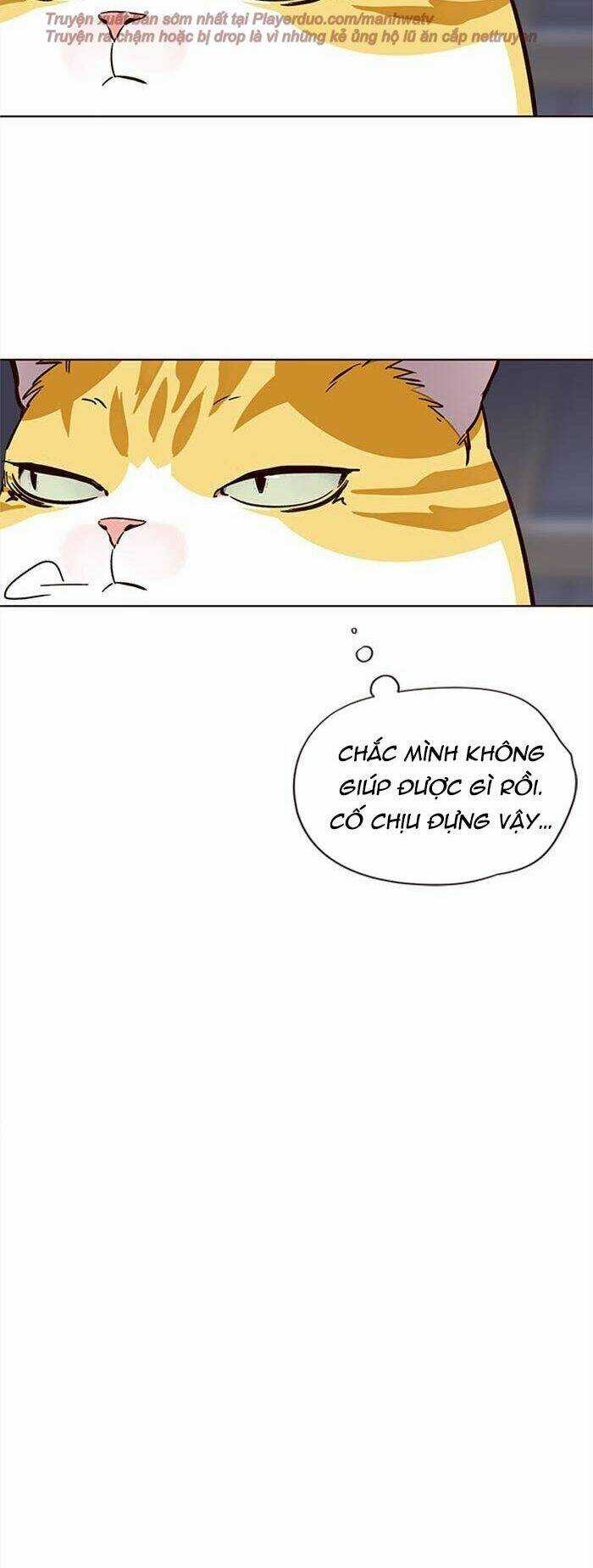 Hoá Thân Thành Mèo - Eleceed Chapter 35 trang 33