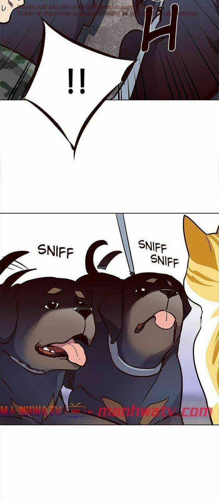 Hoá Thân Thành Mèo - Eleceed Chapter 36 trang 127