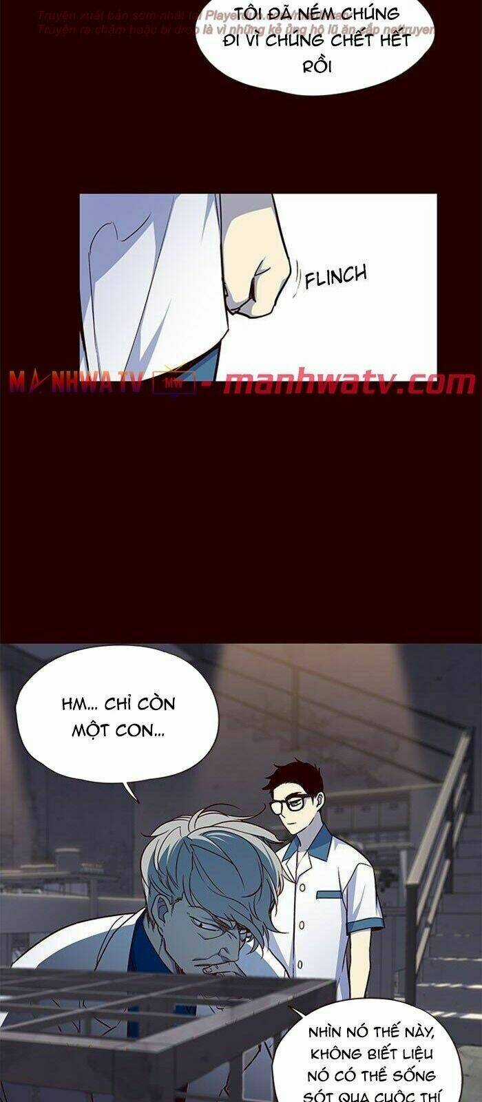 Hoá Thân Thành Mèo - Eleceed Chapter 36 trang 17