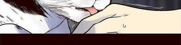 Hoá Thân Thành Mèo - Eleceed Chapter 36 trang 28