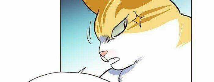 Hoá Thân Thành Mèo - Eleceed Chapter 36 trang 80