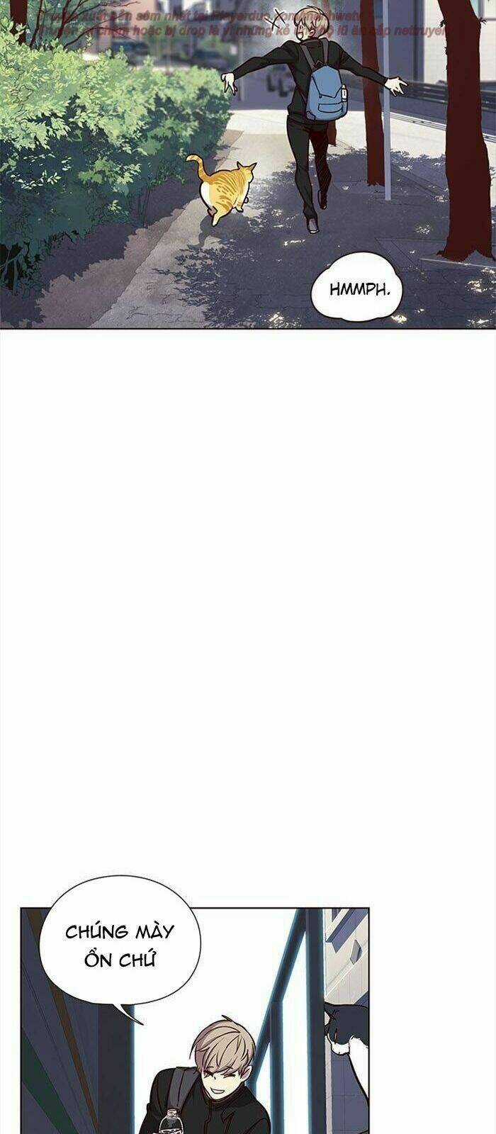 Hoá Thân Thành Mèo - Eleceed Chapter 36 trang 91