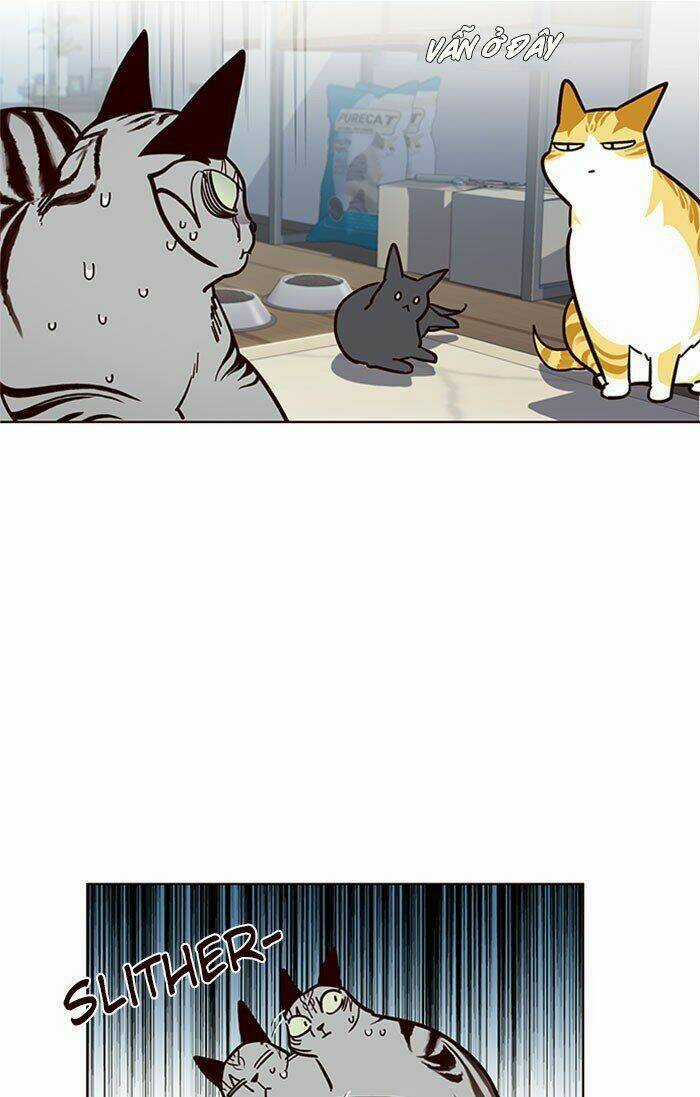 Hoá Thân Thành Mèo - Eleceed Chapter 37 trang 42