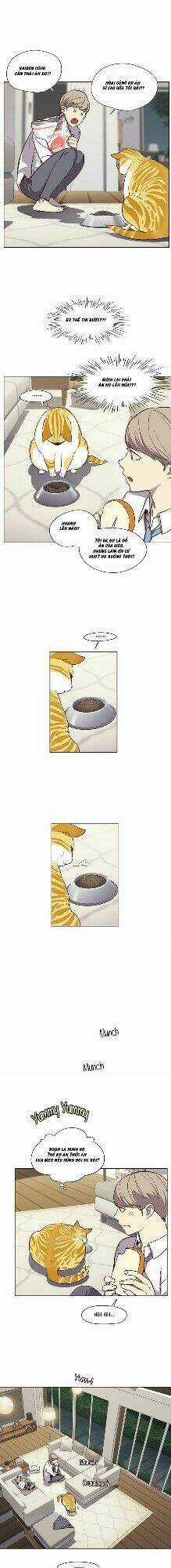 Hoá Thân Thành Mèo - Eleceed Chapter 4 trang 34