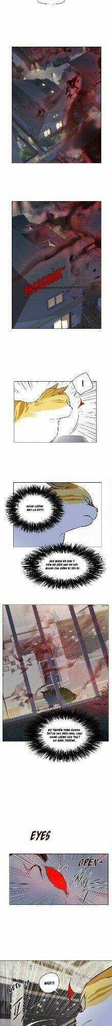 Hoá Thân Thành Mèo - Eleceed Chapter 4 trang 35