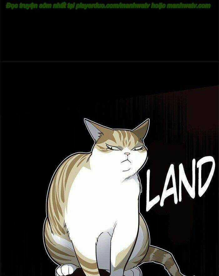 Hoá Thân Thành Mèo - Eleceed Chapter 45 trang 72