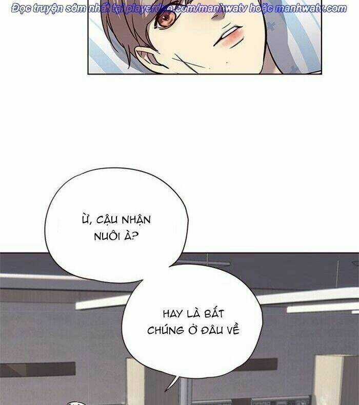 Hoá Thân Thành Mèo - Eleceed Chapter 46 trang 53