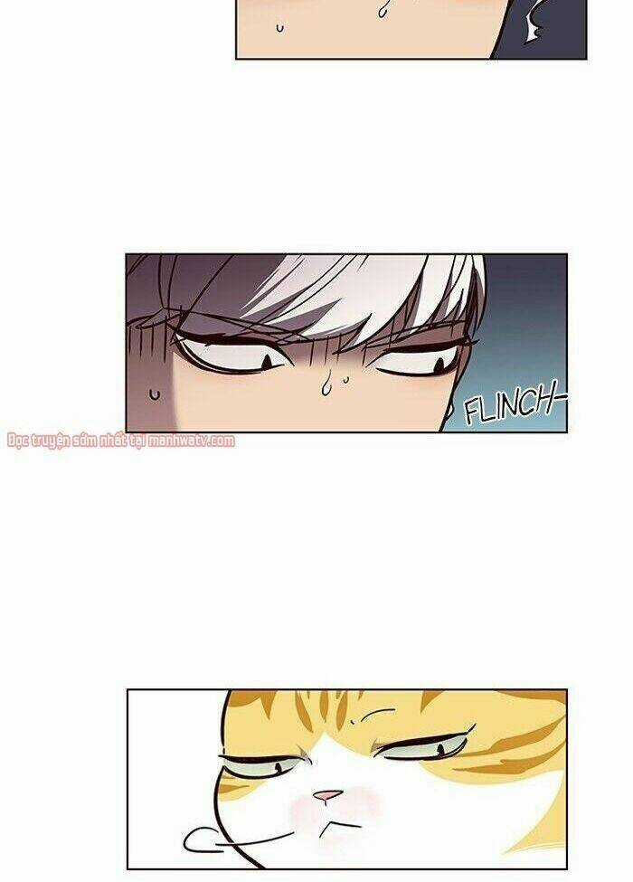 Hoá Thân Thành Mèo - Eleceed Chapter 50 trang 16