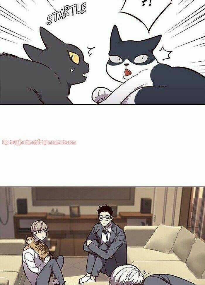 Hoá Thân Thành Mèo - Eleceed Chapter 50 trang 19