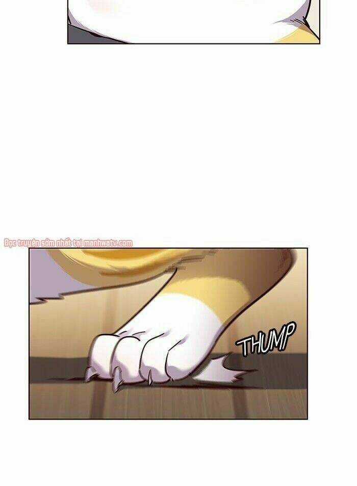 Hoá Thân Thành Mèo - Eleceed Chapter 51 trang 20