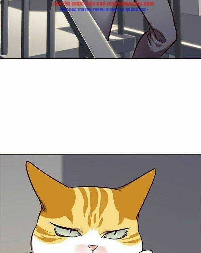 Hoá Thân Thành Mèo - Eleceed Chapter 52 trang 36