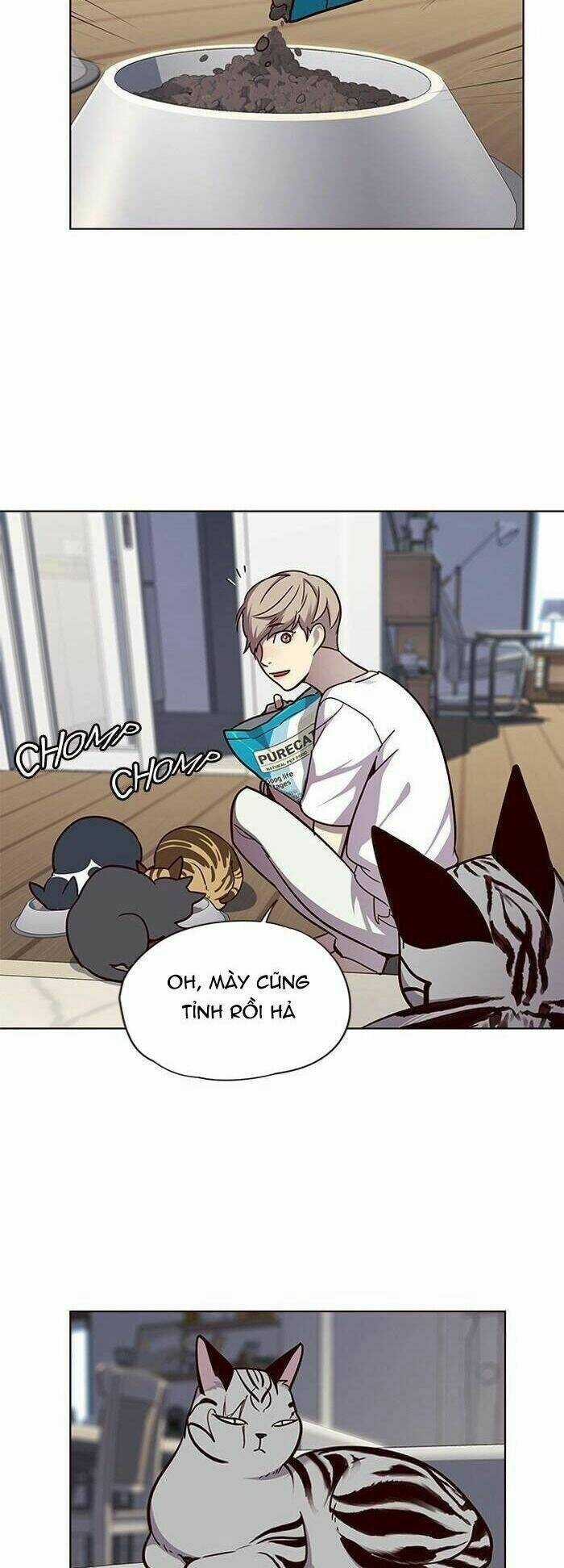 Hoá Thân Thành Mèo - Eleceed Chapter 55 trang 9