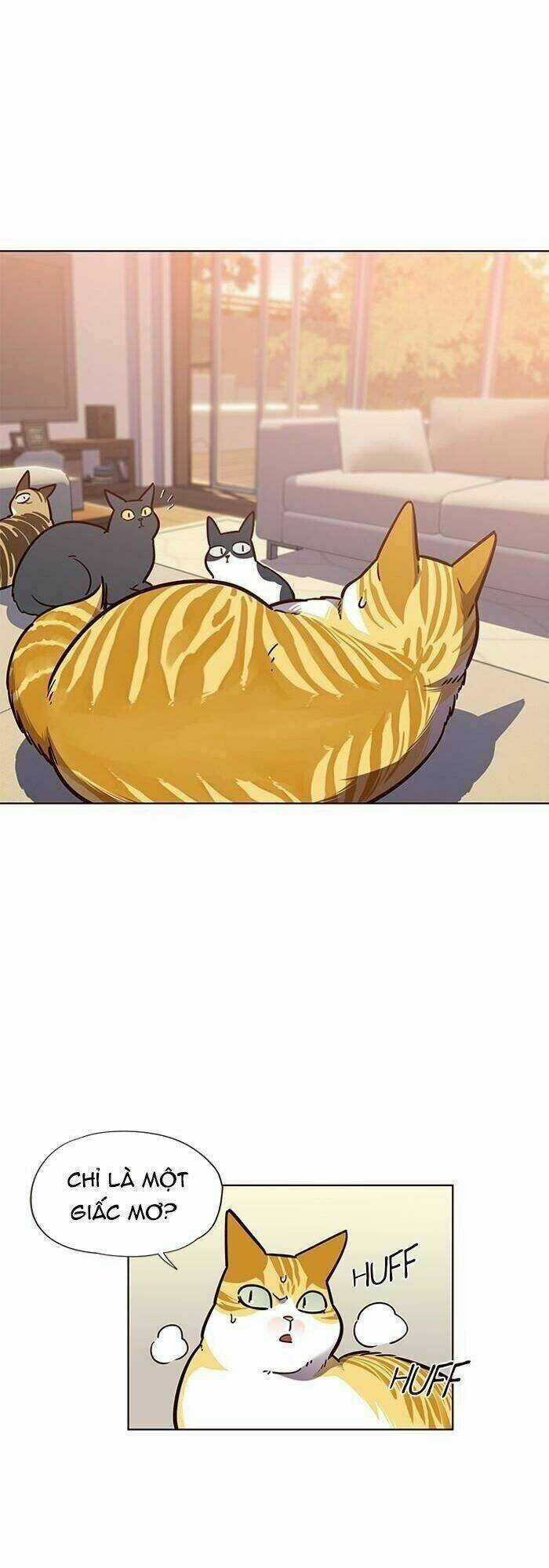 Hoá Thân Thành Mèo - Eleceed Chapter 56 trang 11