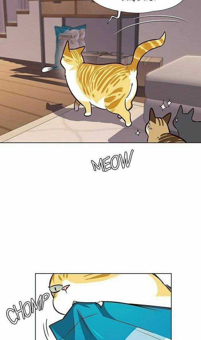 Hoá Thân Thành Mèo - Eleceed Chapter 56 trang 36