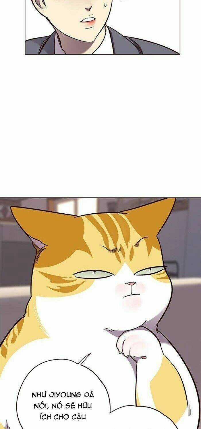 Hoá Thân Thành Mèo - Eleceed Chapter 56 trang 49