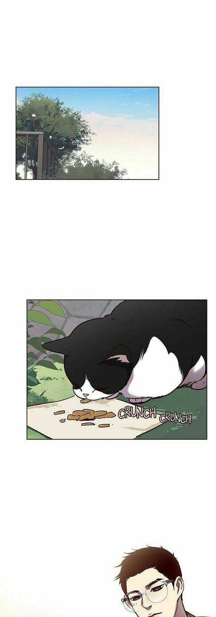 Hoá Thân Thành Mèo - Eleceed Chapter 57 trang 11