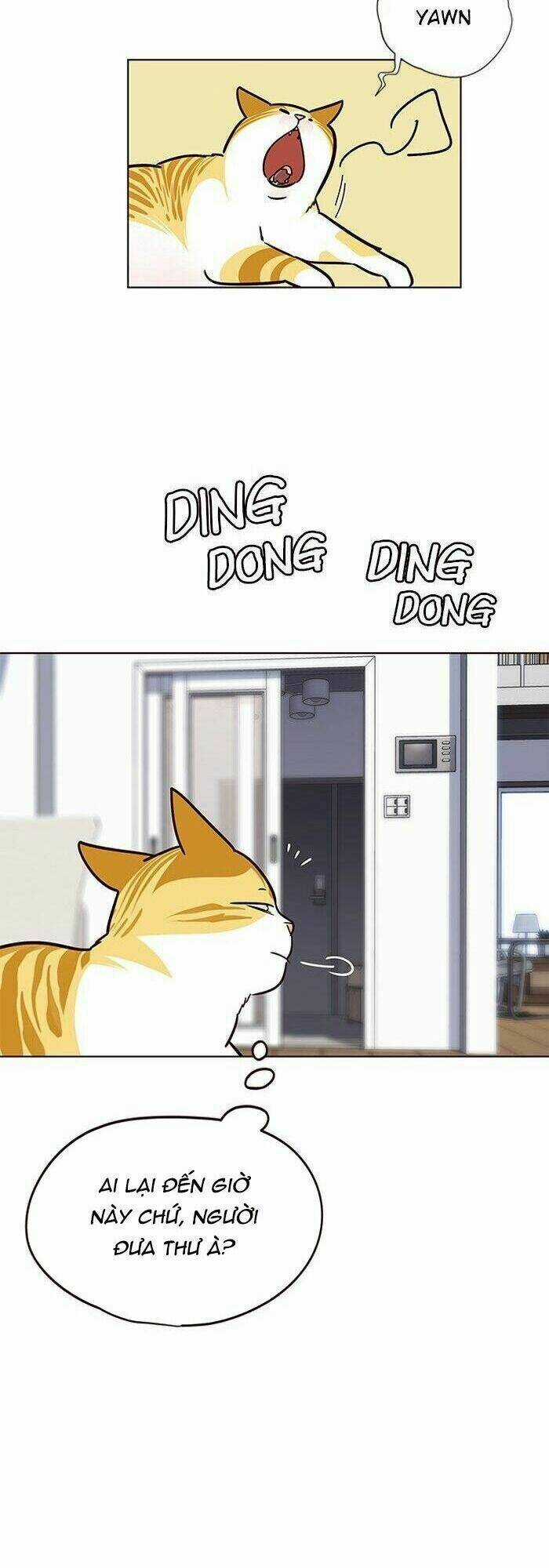 Hoá Thân Thành Mèo - Eleceed Chapter 57 trang 45