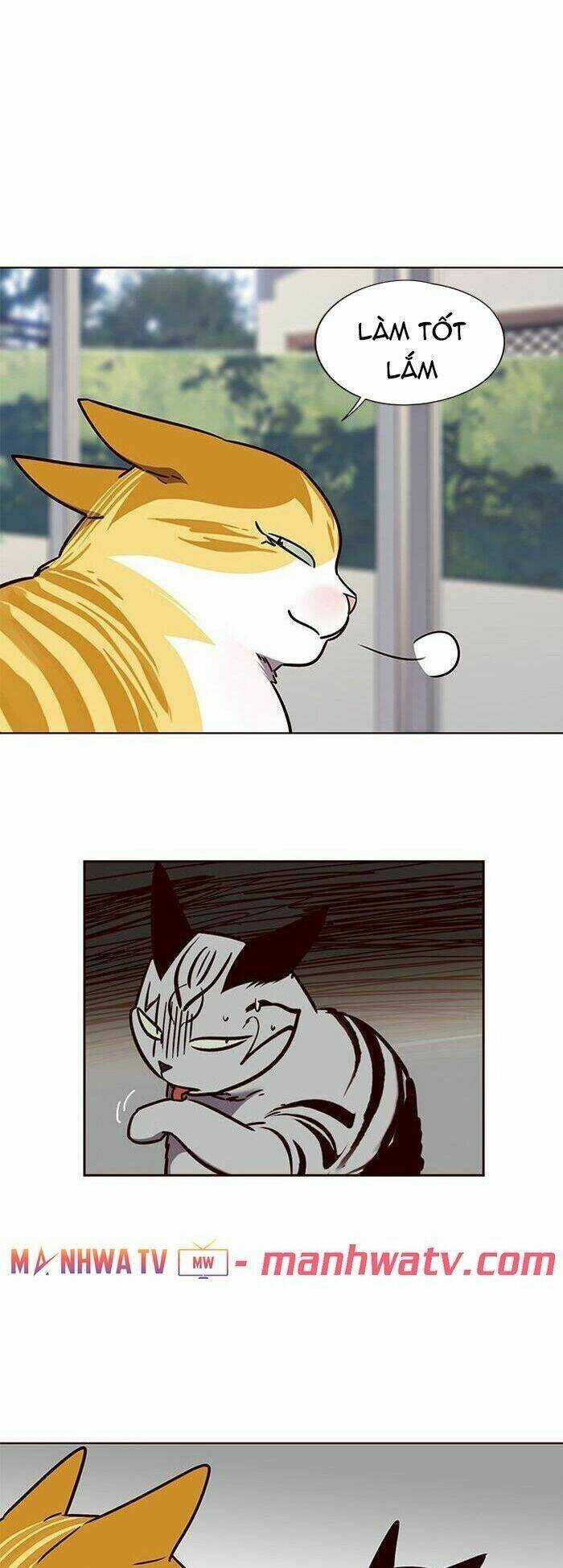 Hoá Thân Thành Mèo - Eleceed Chapter 58 trang 24