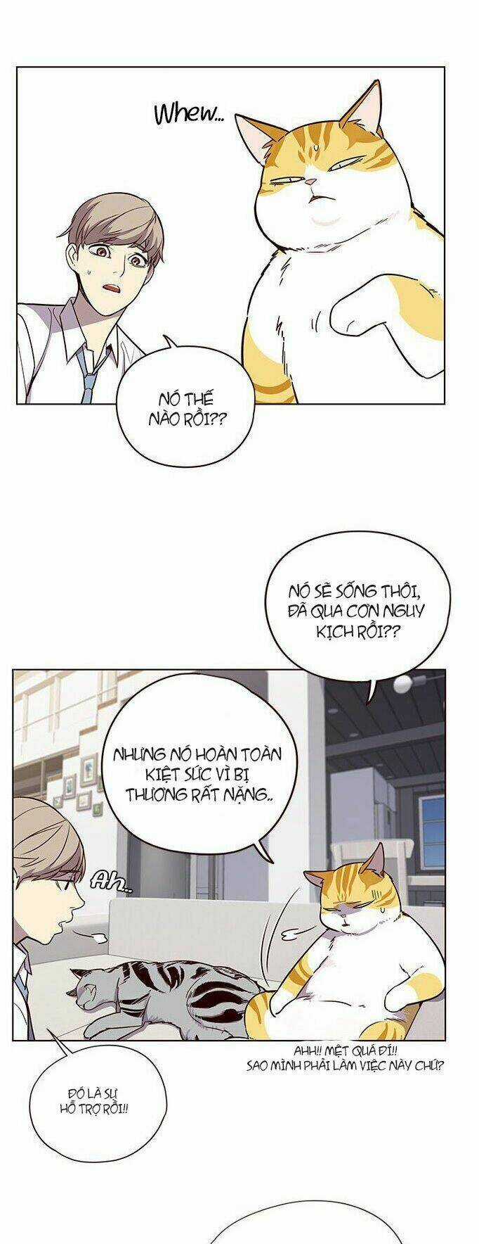 Hoá Thân Thành Mèo - Eleceed Chapter 6 trang 2