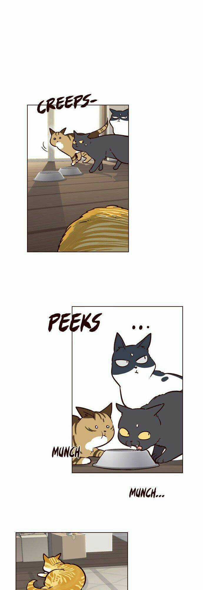 Hoá Thân Thành Mèo - Eleceed Chapter 6 trang 37