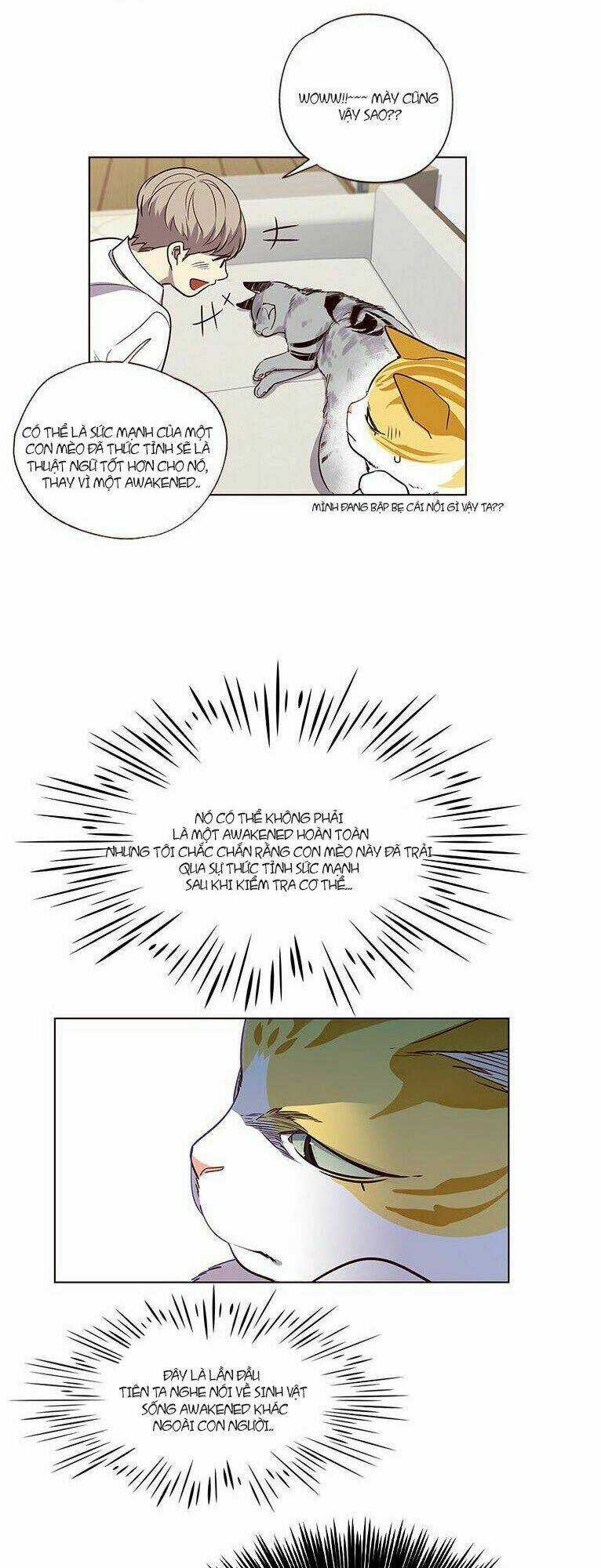 Hoá Thân Thành Mèo - Eleceed Chapter 6 trang 4
