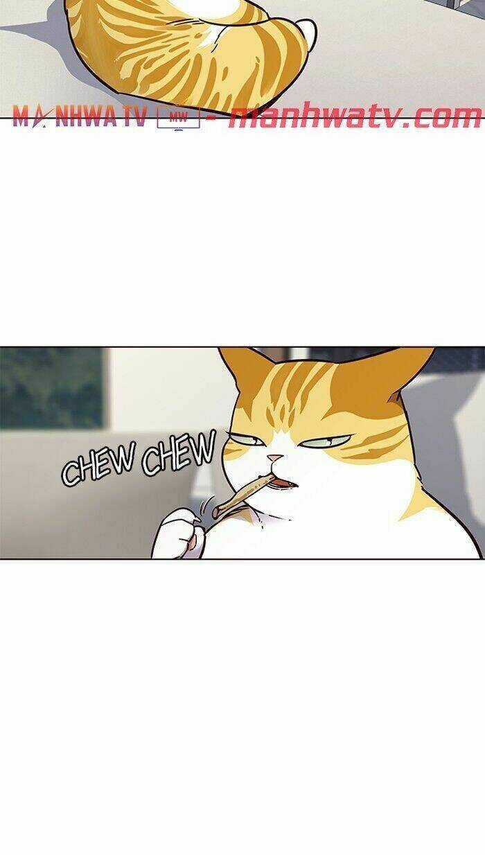 Hoá Thân Thành Mèo - Eleceed Chapter 60 trang 47