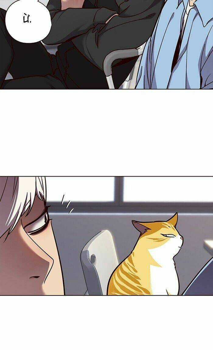 Hoá Thân Thành Mèo - Eleceed Chapter 62 trang 55