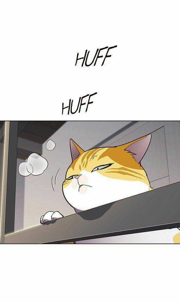 Hoá Thân Thành Mèo - Eleceed Chapter 64 trang 51