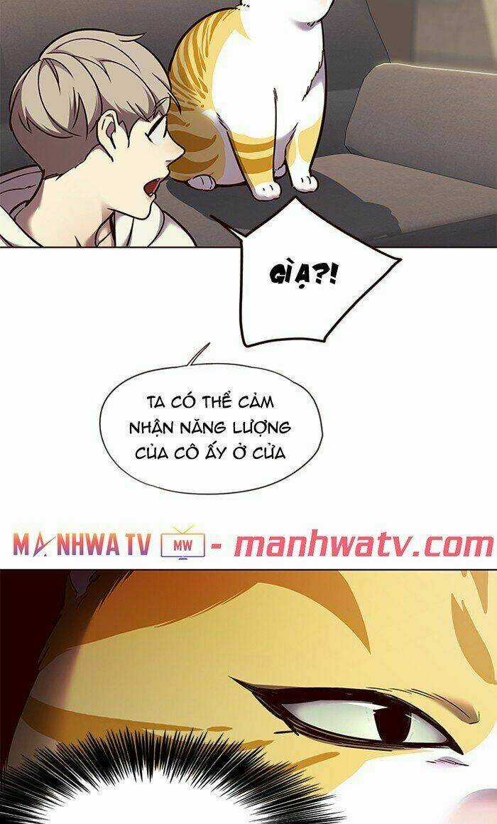 Hoá Thân Thành Mèo - Eleceed Chapter 65 trang 24