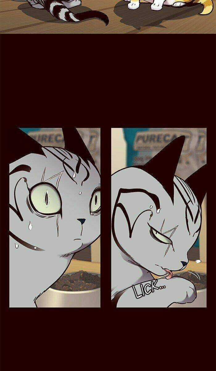 Hoá Thân Thành Mèo - Eleceed Chapter 67 trang 38