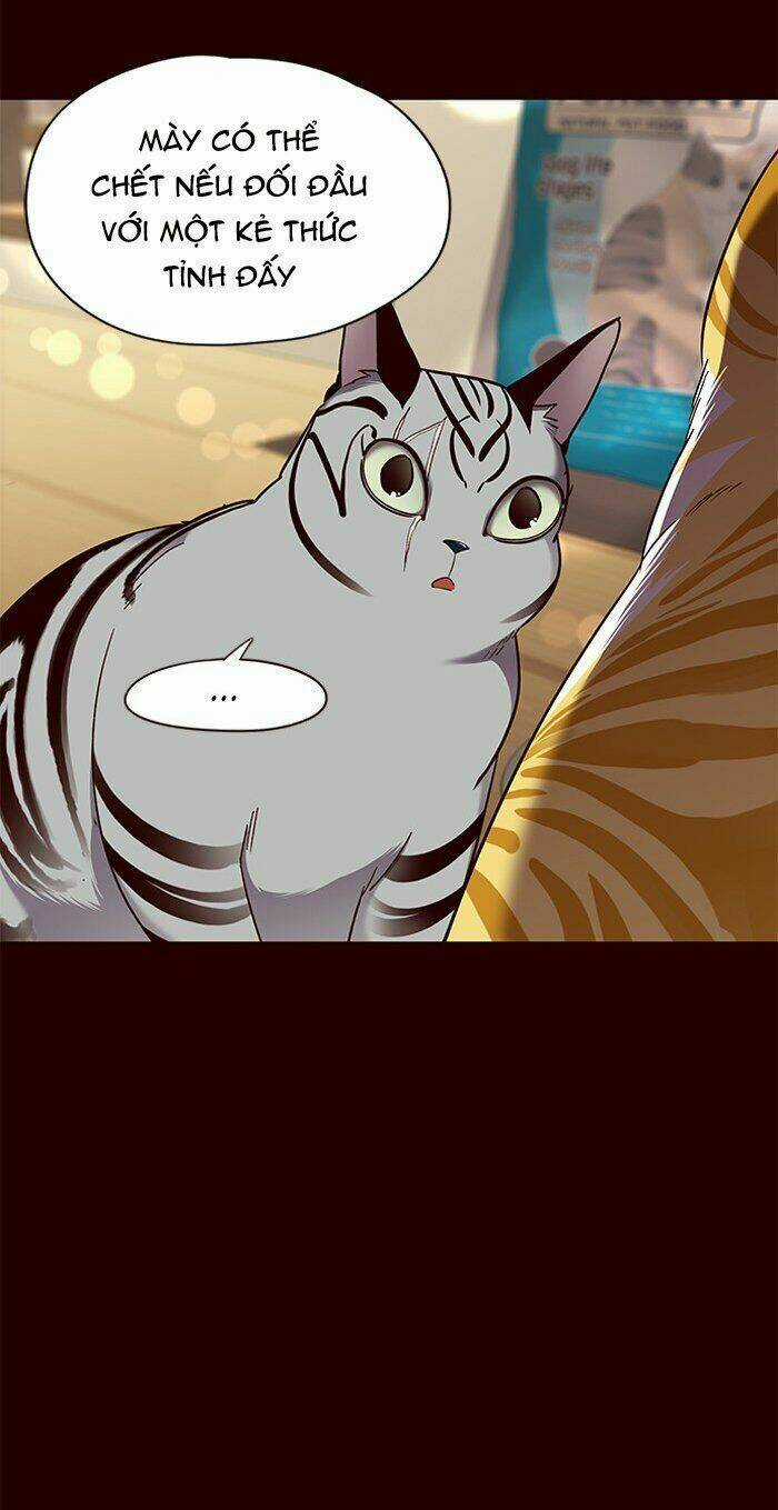 Hoá Thân Thành Mèo - Eleceed Chapter 67 trang 40