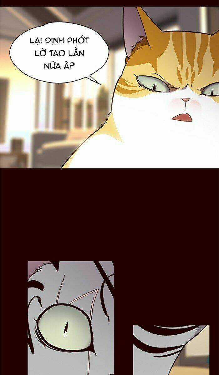 Hoá Thân Thành Mèo - Eleceed Chapter 67 trang 41