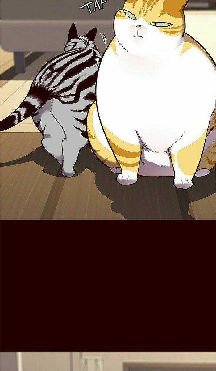 Hoá Thân Thành Mèo - Eleceed Chapter 67 trang 43