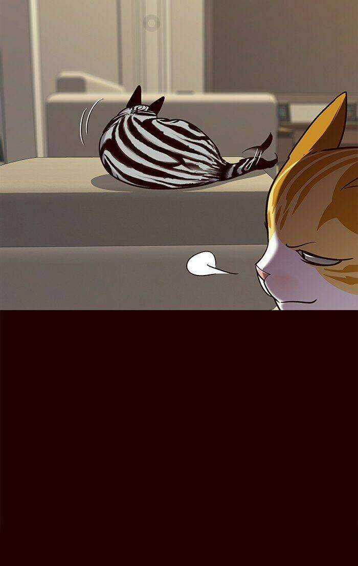 Hoá Thân Thành Mèo - Eleceed Chapter 67 trang 44