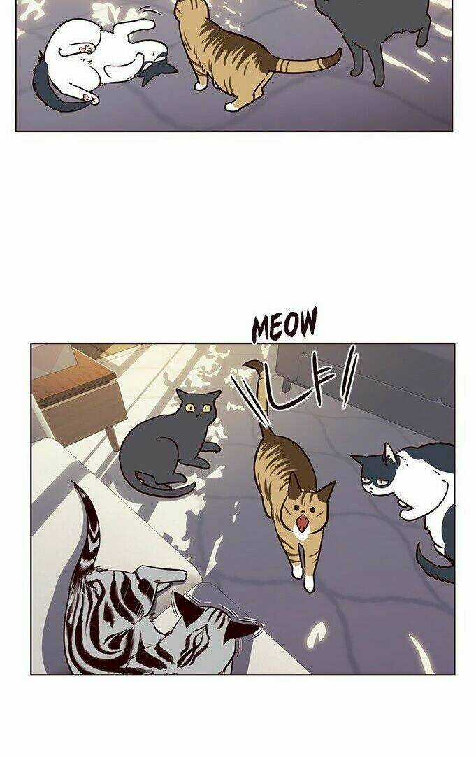 Hoá Thân Thành Mèo - Eleceed Chapter 7 trang 36