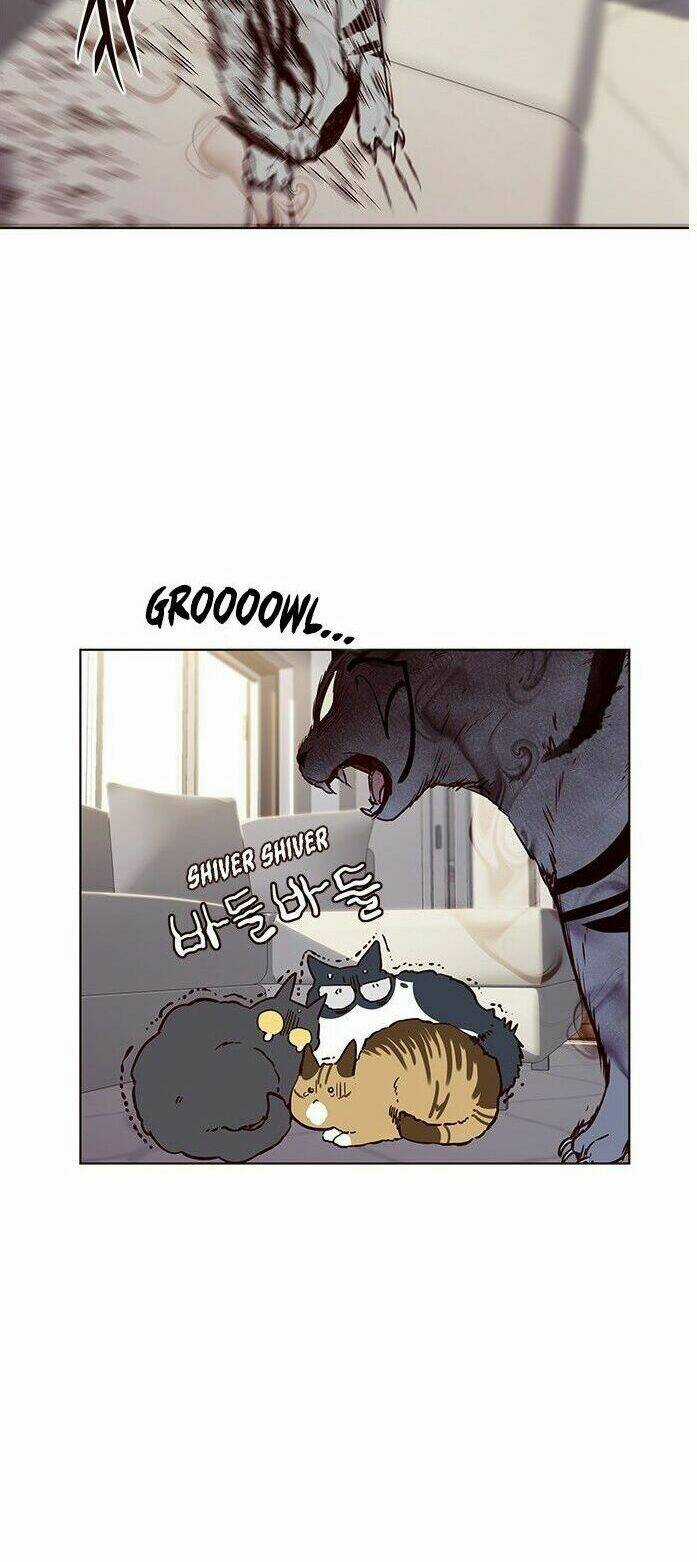 Hoá Thân Thành Mèo - Eleceed Chapter 7 trang 40