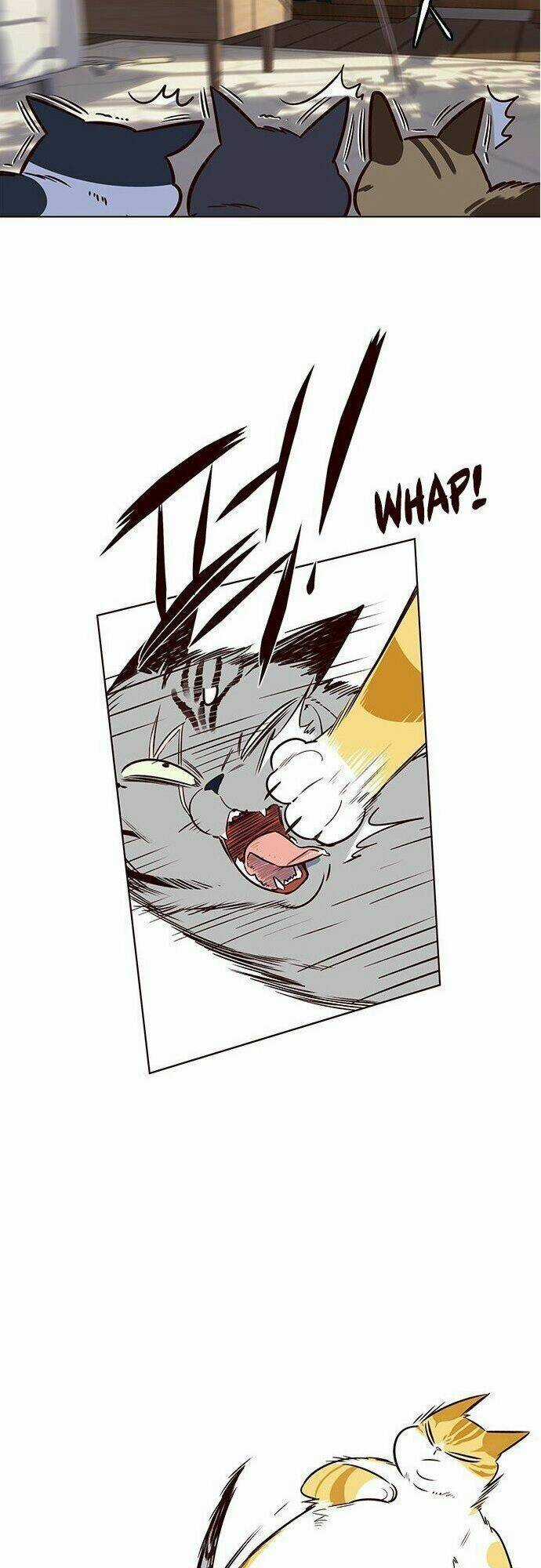 Hoá Thân Thành Mèo - Eleceed Chapter 7 trang 42