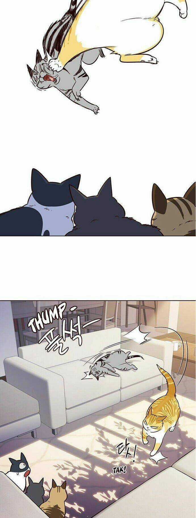 Hoá Thân Thành Mèo - Eleceed Chapter 7 trang 43