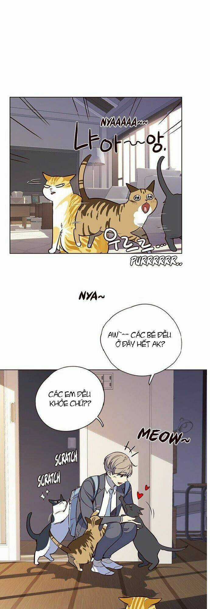 Hoá Thân Thành Mèo - Eleceed Chapter 7 trang 47