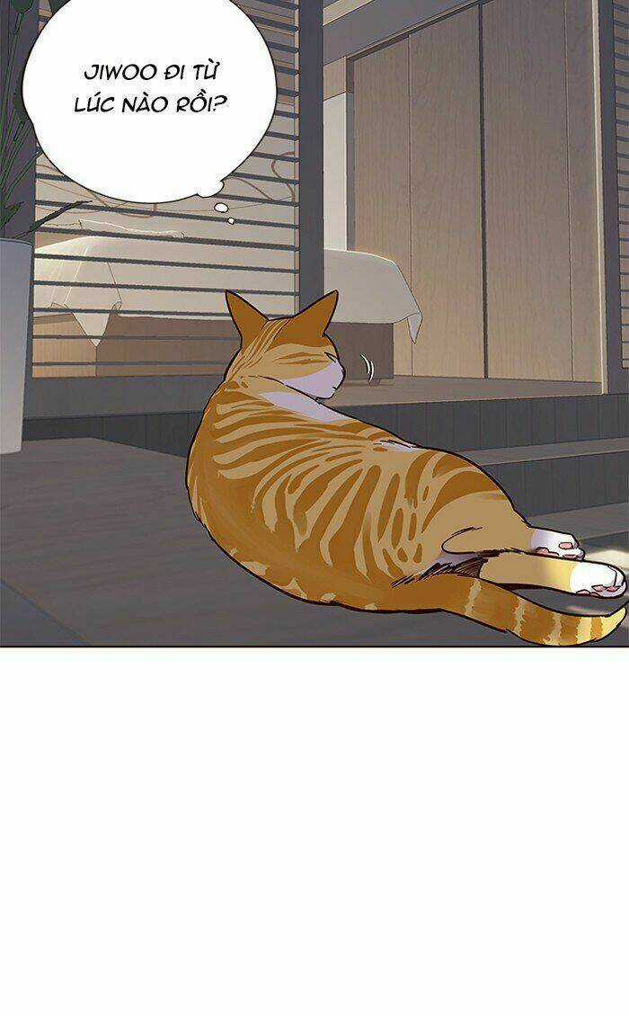 Hoá Thân Thành Mèo - Eleceed Chapter 70 trang 4