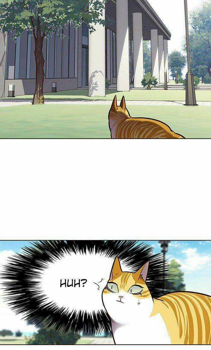 Hoá Thân Thành Mèo - Eleceed Chapter 71 trang 67