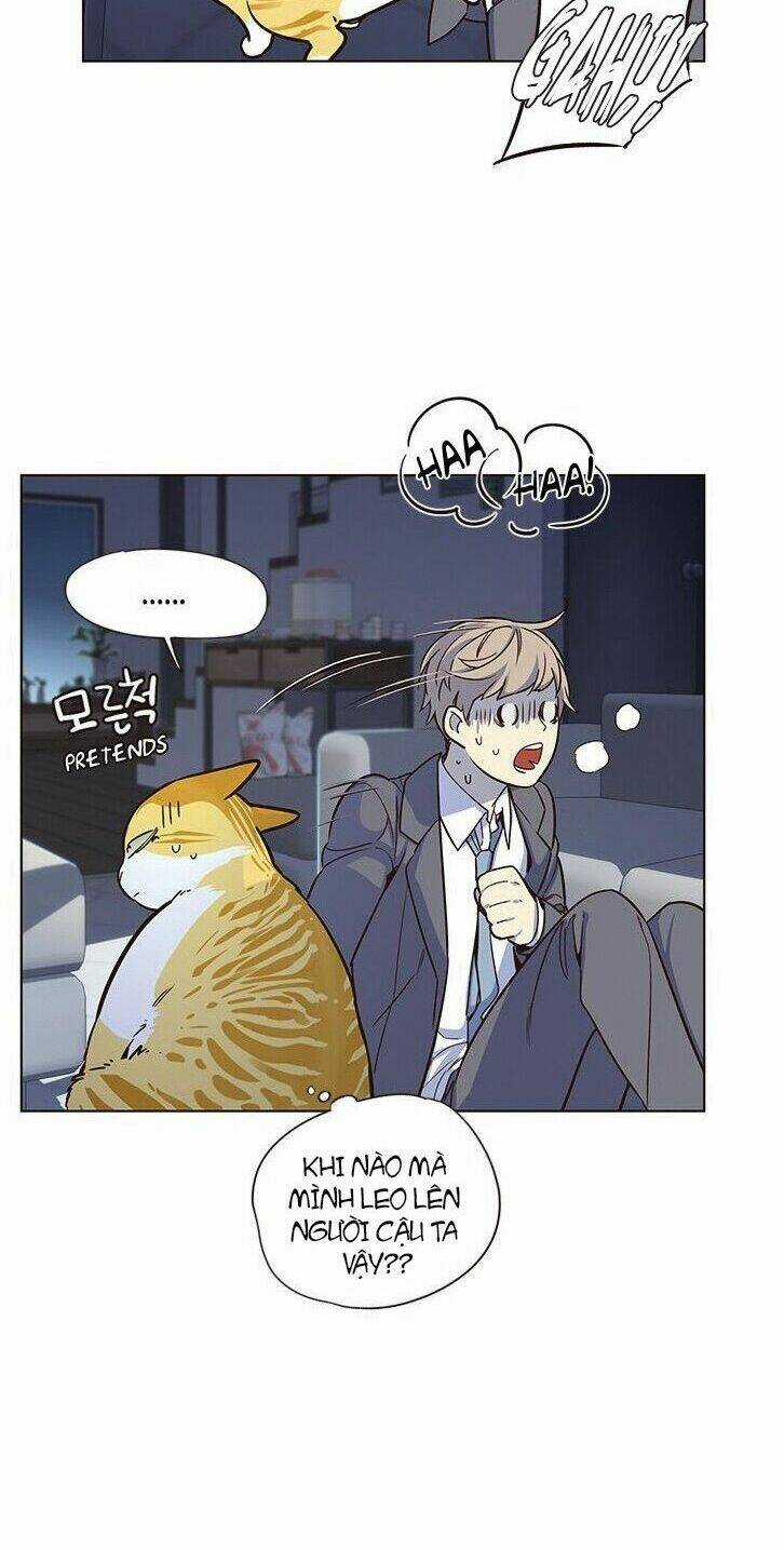 Hoá Thân Thành Mèo - Eleceed Chapter 8 trang 25