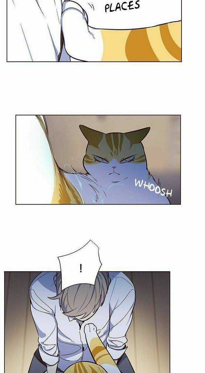 Hoá Thân Thành Mèo - Eleceed Chapter 8 trang 42